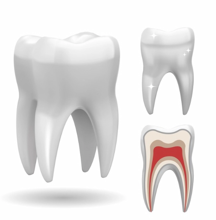 teeth enamel