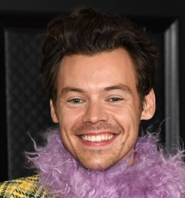 dents de harry styles en 2021