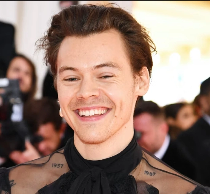 dents de harry styles en 2023