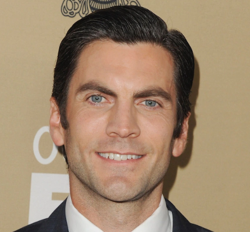 wes bentley dents 2015